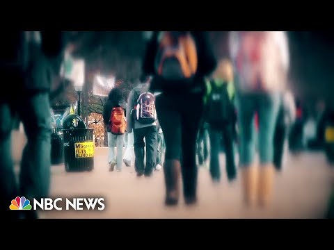 The Legal Implications of Failing to Repay a Loan in the United States