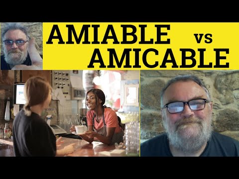 Understanding the Significance of Amicable in the Legal Context