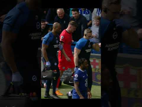 The Legal Representative for Brighton FC: Unveiling the Key Figure in the Club's Legal Affairs