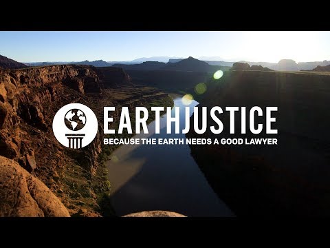 The Benefits and Advantages of Hiring an Environmental Attorney