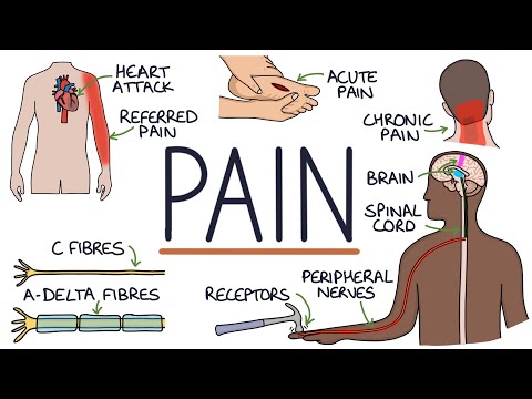 Understanding the Legal Principles of Pain and Suffering: An In-Depth Analysis