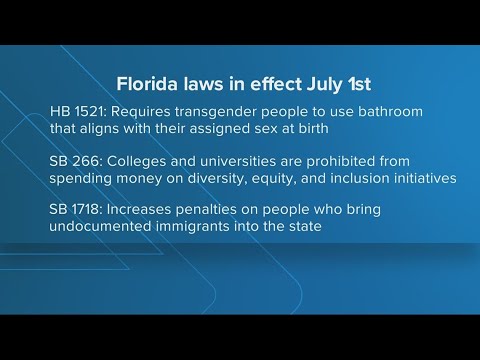 Understanding the July 1 Custody Law in Florida: A Comprehensive Analysis
