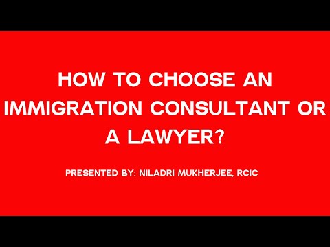 Choosing the Right Immigration Professional: Lawyer or Consultant?