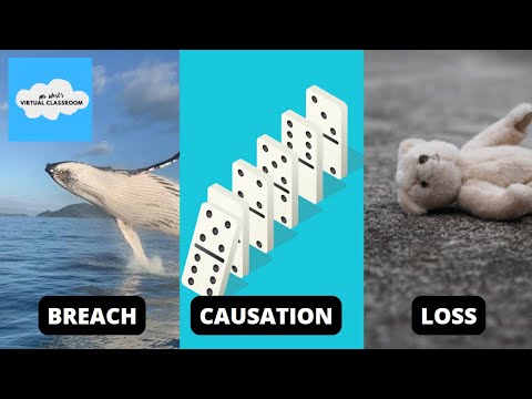 Understanding Civil Law: Examples and Key Concepts