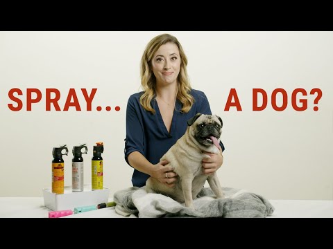 Understanding the Legality of Dog Spray in the UK