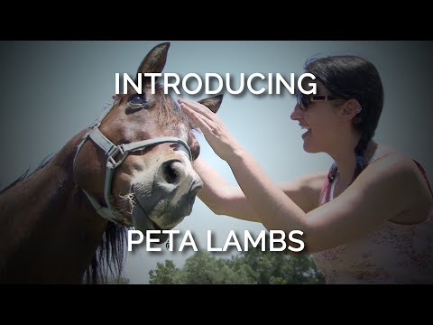 Understanding PETA's Advocacy: An In-Depth Look at Their Mission and Campaigns