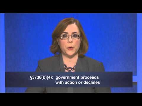 The Investigative and Intervening Authority in Qui Tam Actions