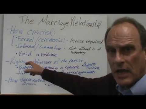 Essential Abilities and Knowledge for Pursuing a Career in Family Law