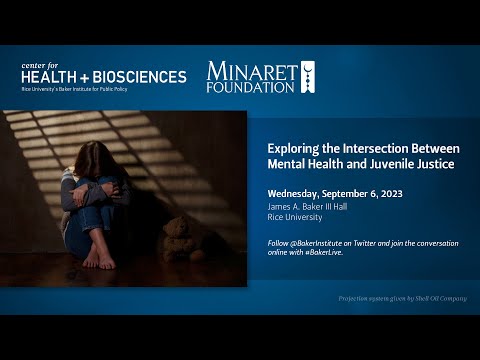 Navigating the Intersection of Mental Health and the Legal System: Exploring the Impact on Court Proceedings
