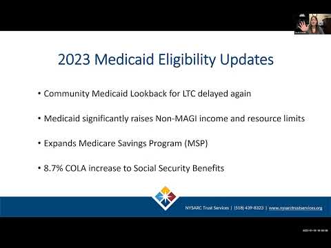 Understanding the Eligibility Criteria for Legal Aid in New York: Maximum Income Requirements Explained