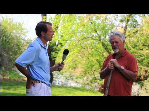 The Importance of Honesty in Your Communication with a Legal Professional