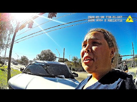 Understanding the Criminal Nature of DUI Charges in Florida