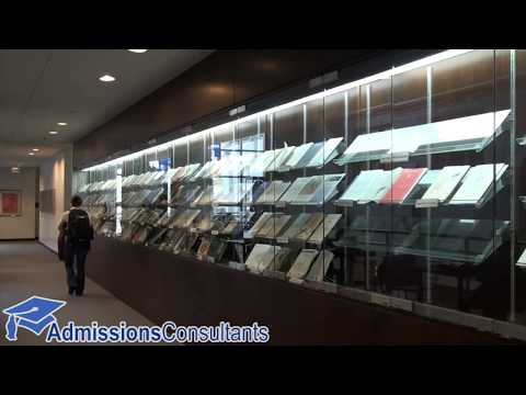 The Duration of Employment in Large Law Firms: A Comprehensive Analysis