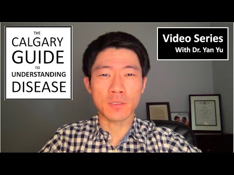 Understanding the Legality of Panhandling in Calgary: A Comprehensive Guide