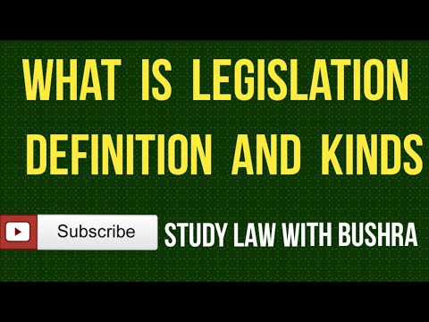 Understanding the Scope: Exploring the Various Types of Legislation