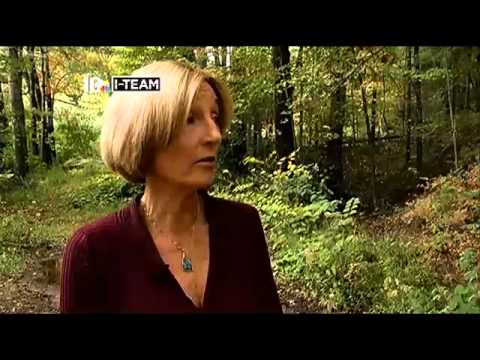 Understanding the Legal Rights and Ownership of the TV Show Neighbours