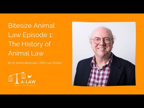 Understanding Animal Law in the UK: A Comprehensive Overview