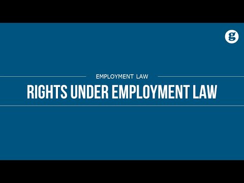Understanding Employee Rights Under Employment Law: A Comprehensive Overview