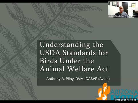 Understanding the 5 Needs of the Animal Welfare Act: A Comprehensive Guide
