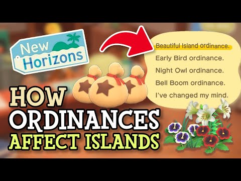 Understanding the Process of Enacting an Island Ordinance: A Comprehensive Guide