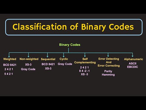 Understanding the Different Types of Codes: A Comprehensive Explanation