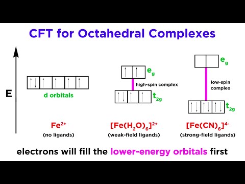Understanding the Factors Affecting Coordination: An In-depth Analysis of Four Key Influences