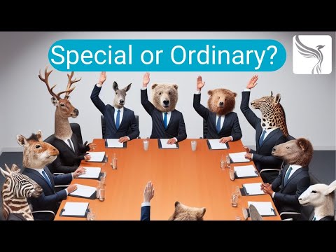 Understanding the Legal Effect of a Resolution: A Comprehensive Guide