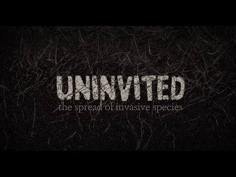 Understanding the EU Regulation for Invasive Species: A Comprehensive Guide