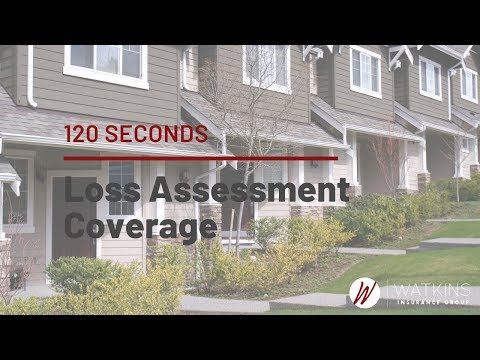 Understanding Florida Law for Loss Assessment Coverage: A Comprehensive Guide
