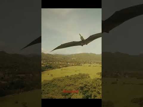 The Possibility of Humans Flying on Pterodactyls: Exploring a Hypothetical Scenario