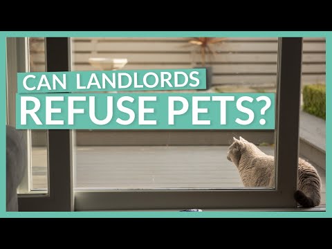 Understanding Landlord Authority: Can Landlords Legally Deny Pets in the UK?