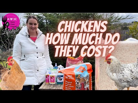Understanding the Recent Legislation for Chickens in the UK