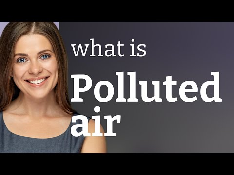 Understanding Air Pollution Regulation: A Comprehensive Overview