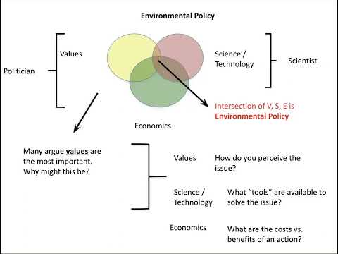 Understanding the Importance of an Environmental Policy in the UK: Do You Need One?