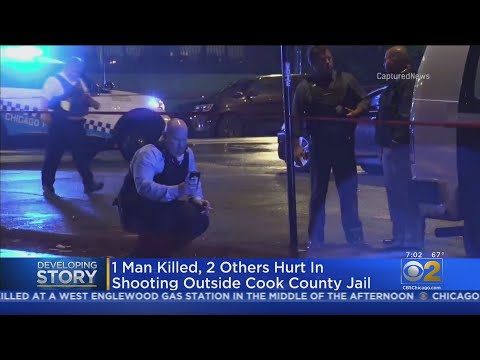 Understanding the Cook County Ordinance 07 O 68: A Detailed Overview