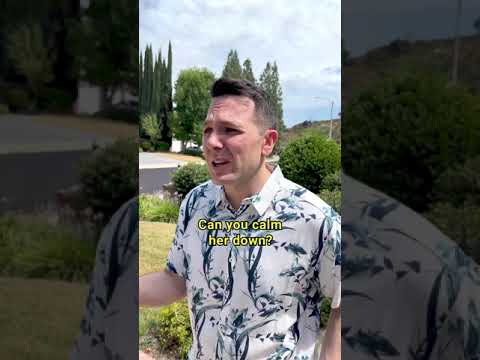 Understanding the Legal Implications of Neighbors' Barking Dogs