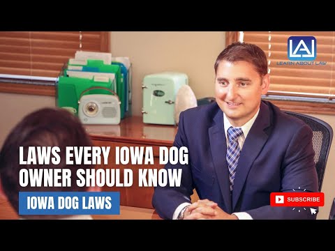 Understanding the Latest Dog Laws for 2023: A Comprehensive Guide