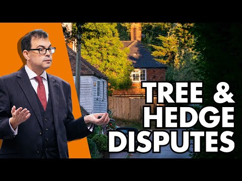 Understanding the UK Law on Neighbour's Trees: A Comprehensive Guide