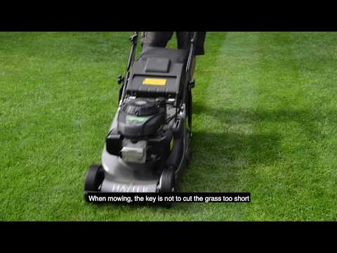 Understanding the Legality of Mowing Your Lawn on a Sunday in the UK