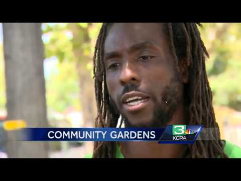 Understanding the Urban Agriculture Ordinance in Sacramento: A Comprehensive Guide