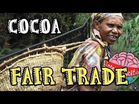 Exploring the Fairness of Fairtrade Chocolate: An In-depth Analysis