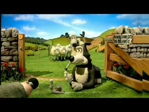 Understanding the Countryside Code in the UK: A Comprehensive Guide