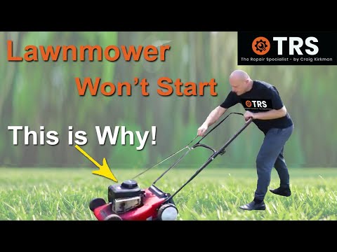 The Best Time to Avoid Using a Lawn Mower: A Comprehensive Guide