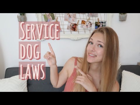 Understanding Nuisance Dog Laws in Missouri: A Comprehensive Guide