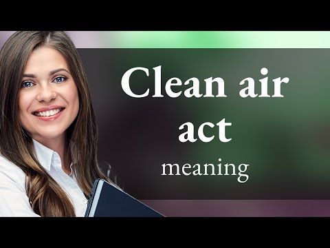 Understanding the Act to Reduce Air Pollution: A Comprehensive Guide