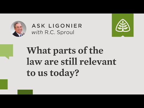 Understanding the Consequences of Not Obeying the Law: A Comprehensive Overview