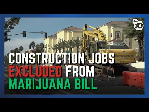 Understanding the New Noise Law in California: A Comprehensive Guide