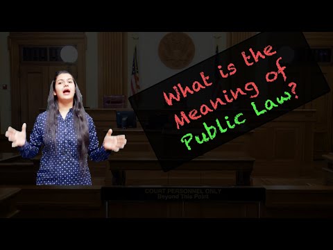 Understanding the Concept of Public Function in Public Law