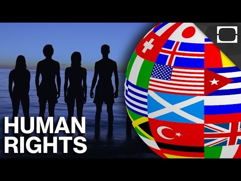 Understanding the Fundamentals: Exploring the 5 Basic Human Rights