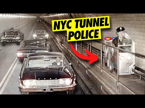 Understanding NYC's Tree Ordinance: A Comprehensive Guide